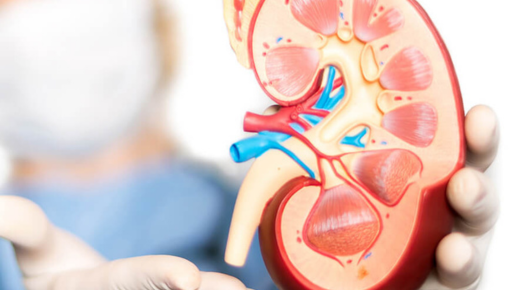 best urologist in bangalore
